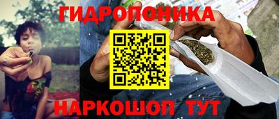 МДПВ Брянск