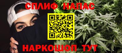 МДПВ Брянск