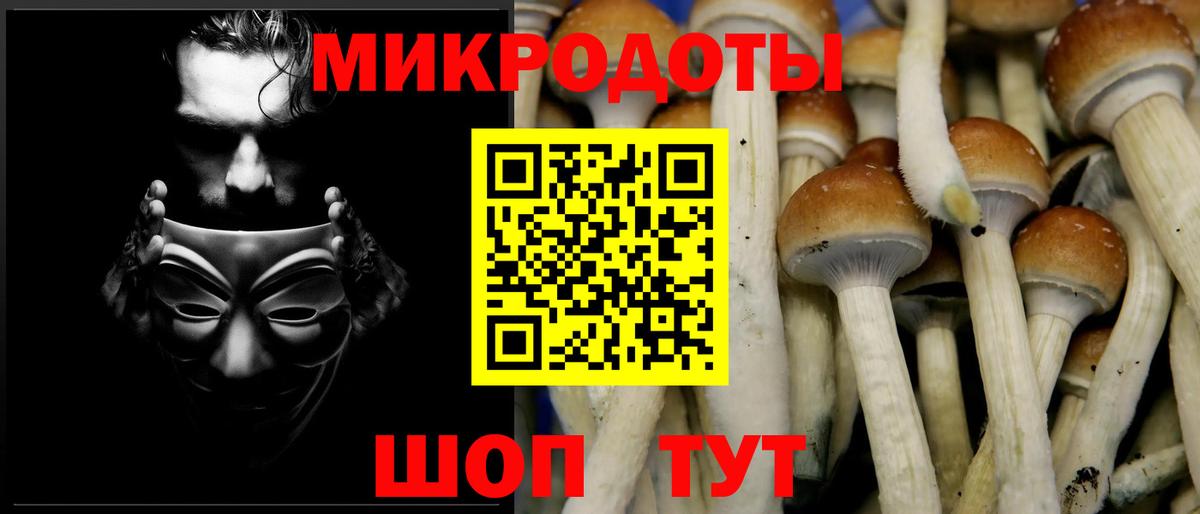 Брянск  Галлюциногенные грибы Cubensis  Вход с VPN 