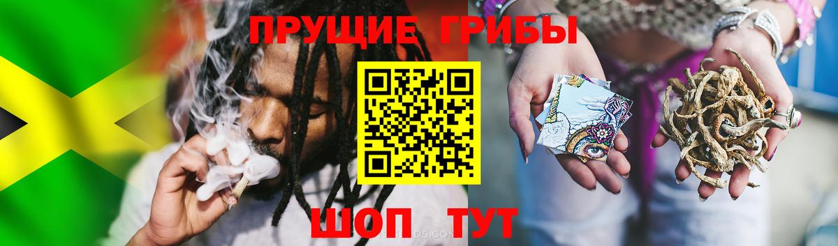 Галлюциногенные грибы прущие грибы Брянск